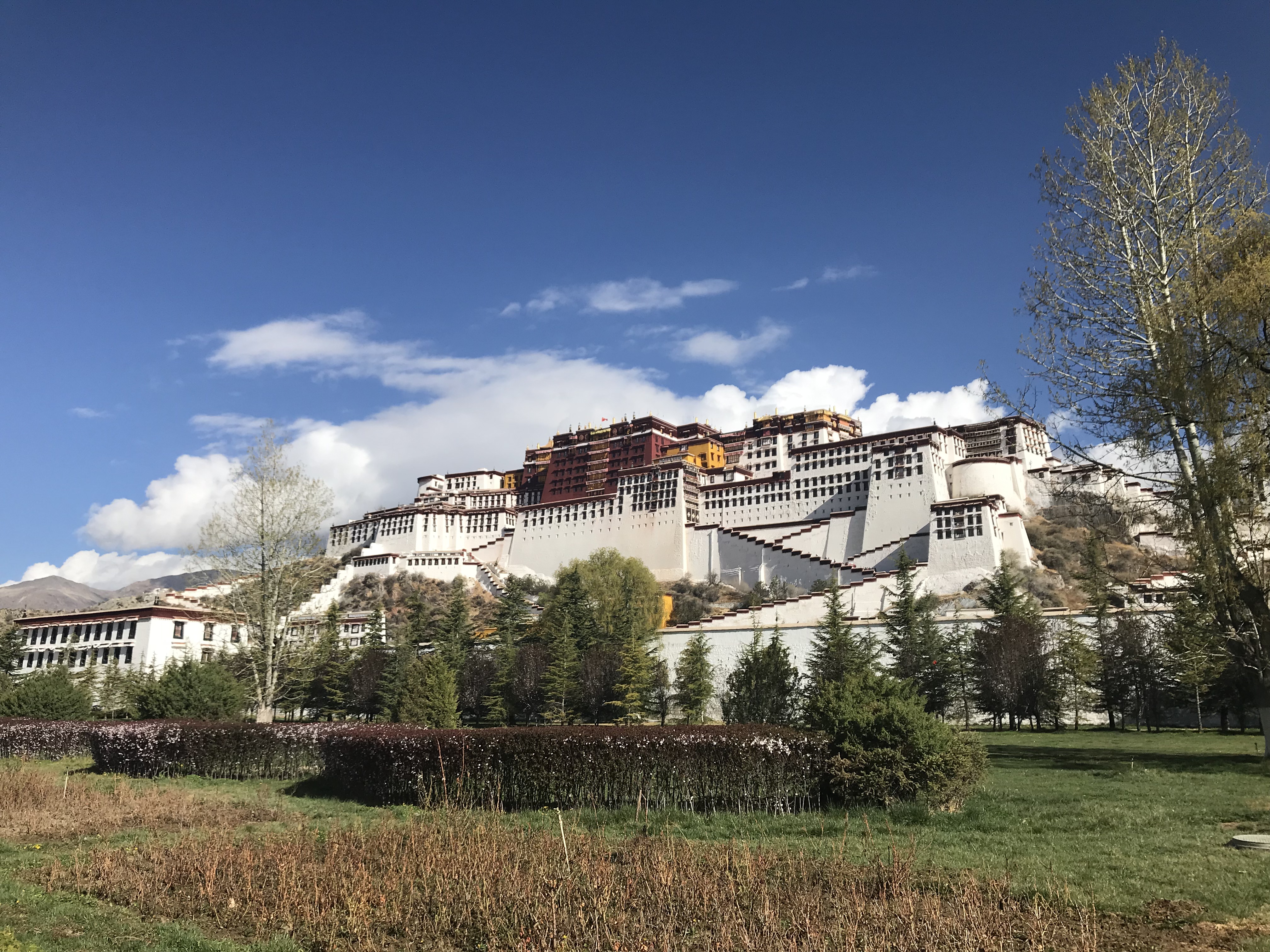 Bedazzling Potala Palace. Lhasa Tibet 