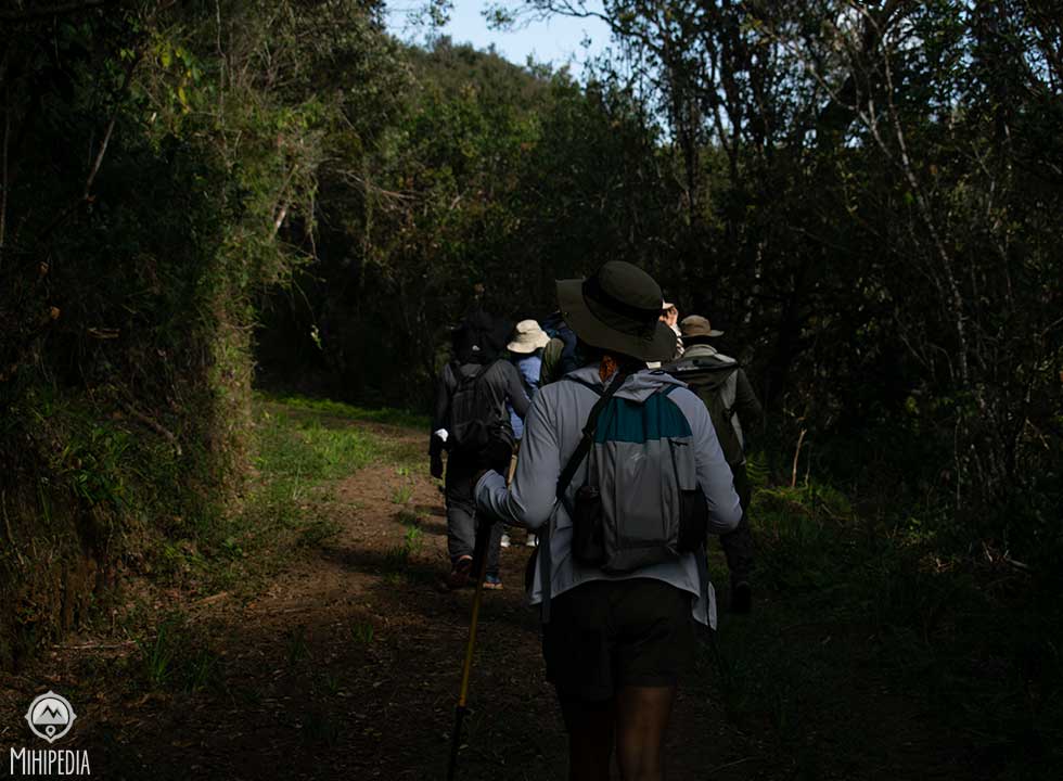 Tale of Two Landscapes. Pekoe Trail 10. Horton Plains Sri Lanka