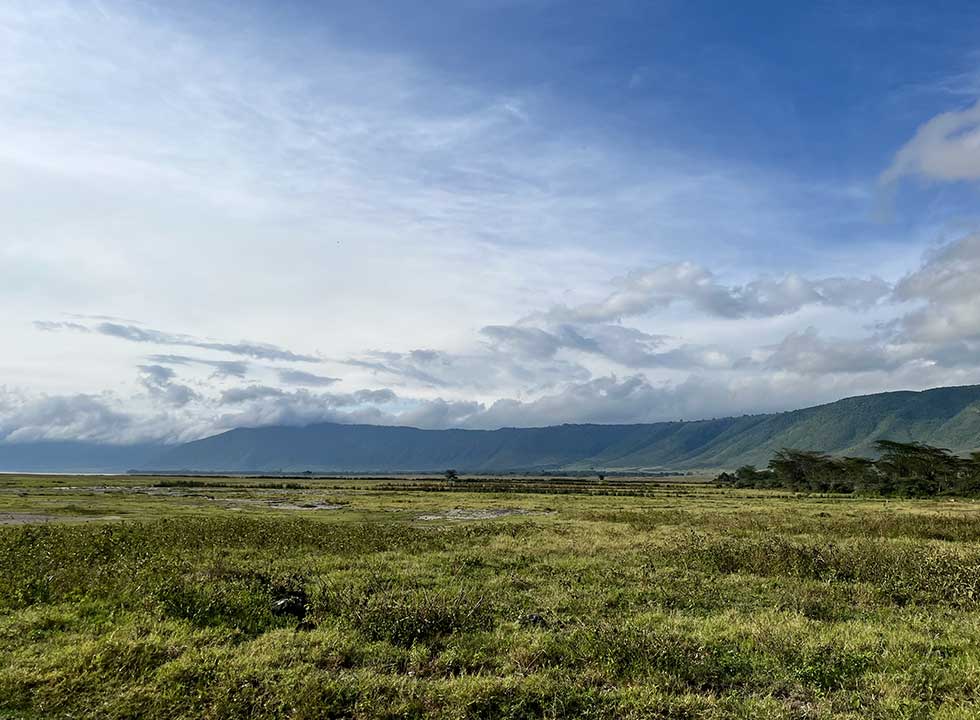 This animal kingdom- the vastness of the Ngorongoro