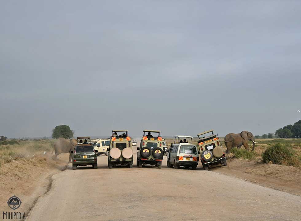 Waiting for that perfect chase