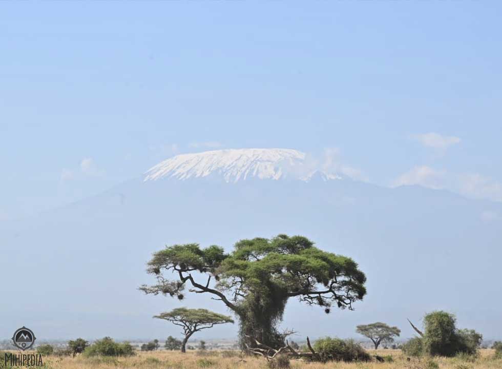 Mount Kilimanjaro in the background