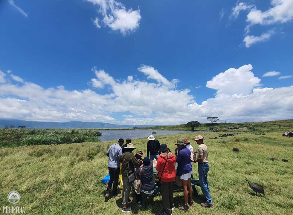 A safari picnic in the heart of nature, where every bite is accompanied by the beauty of the wild