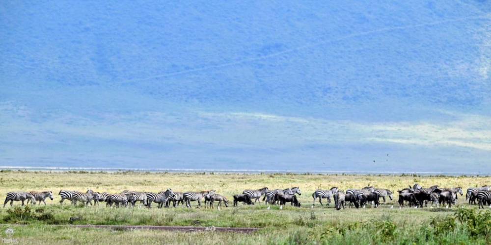 At the edge of Ngorongoro Crater, it feels like time slows down as the vastness of this stunning landscape unfolds before your eyes